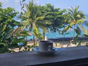 convivialité = une tasse de café sur fond de palmiers