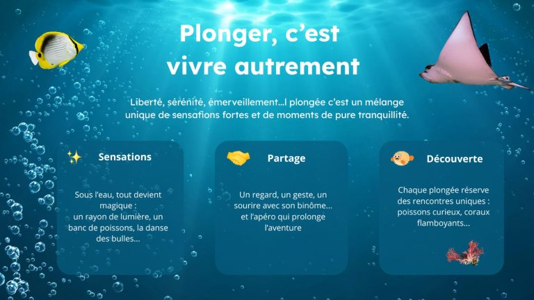 Avec le Subaquaclub Joeuf, plonger c'est vivre autrement