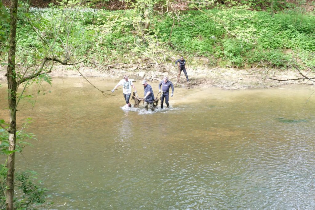 Nettoyage des berges de l'Orne