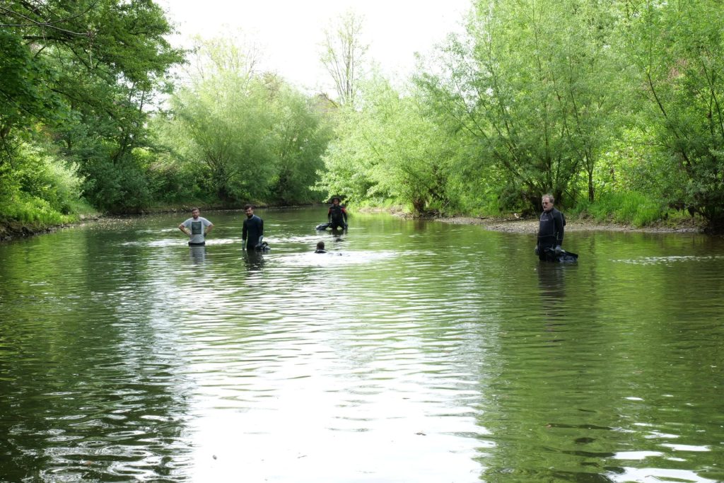 Nettoyage des berges de l'Orne