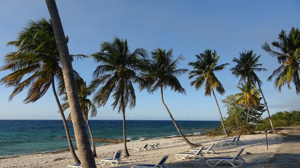 Plage paradisiaque