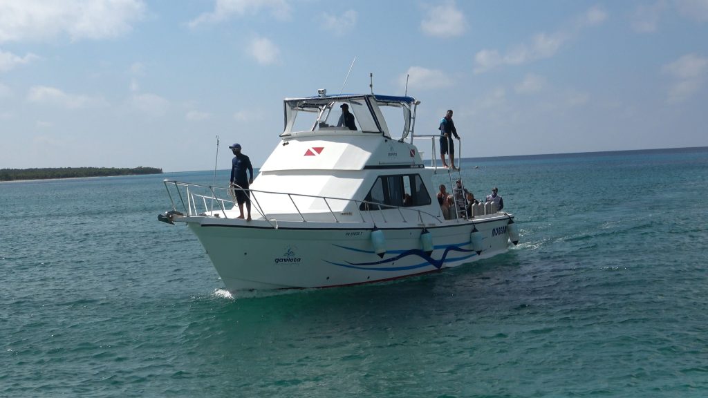 bateau de plongée