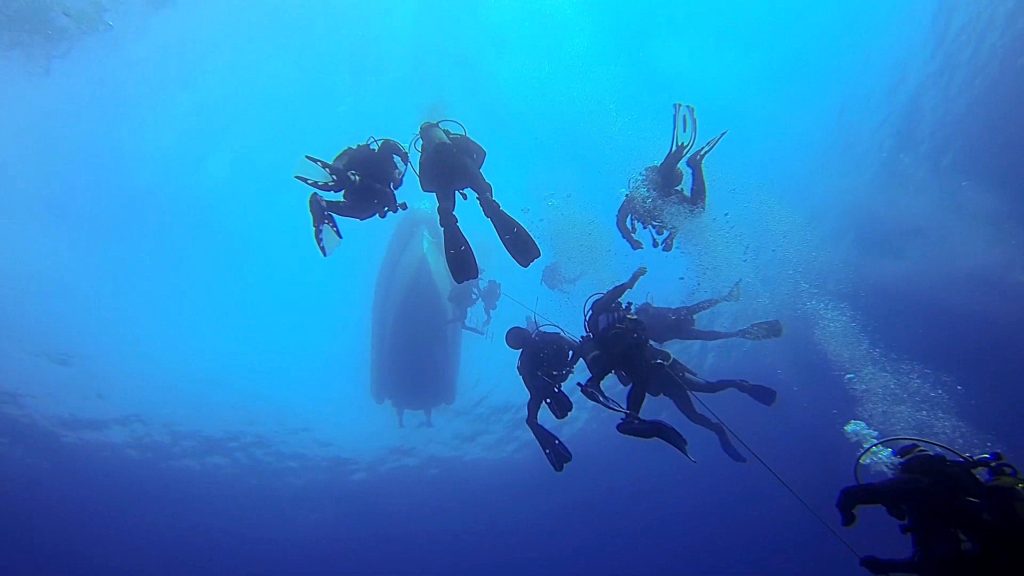 Les plongeurs en immersion vus de dessous